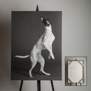 Canvas Gallery Wraps are available from Fetching Fido Fotography Pet Photography and Portraits