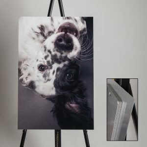 Metal Prints - Metal Portrait product offered by Fetching Fido Fotography Austin TX